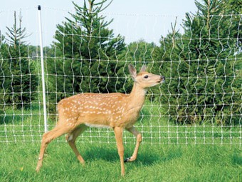 Ograjni stebri iz steklenih vlaken za odvračanje prostoživečih živali na poljih: robustna podpora za ograje za jelene in pregrade za divje živali
