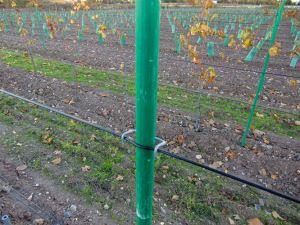 Visoke trdnosti stroškovno učinkovito Fiberglass vinograd Post Pole